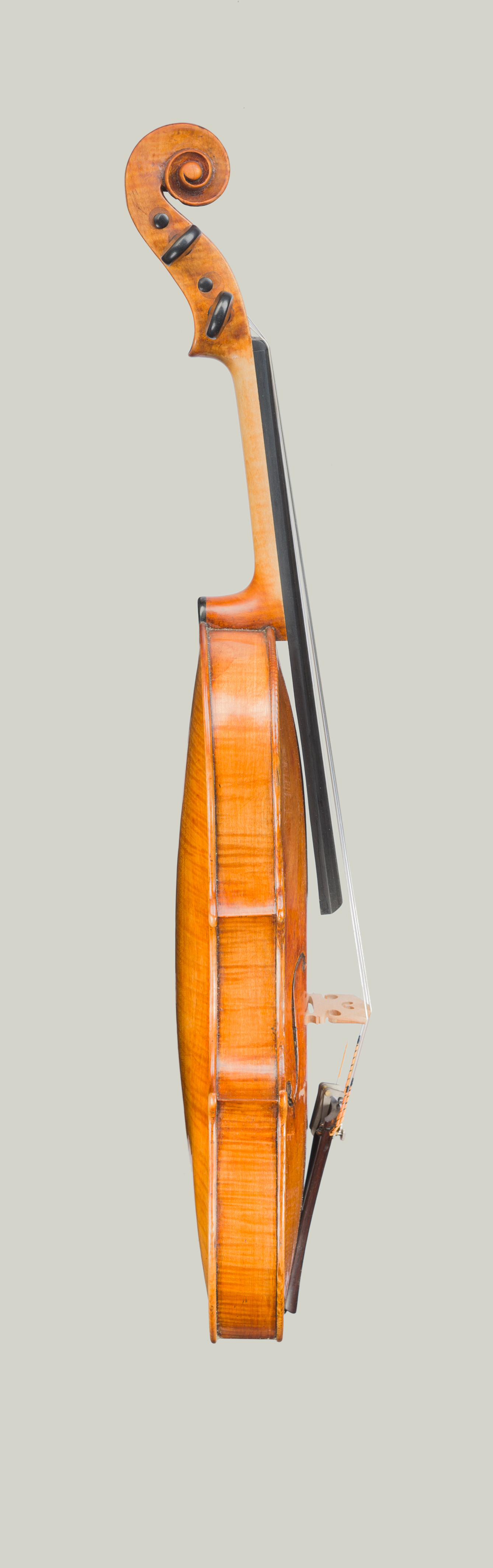 G.Tononi Artes Fine Violins