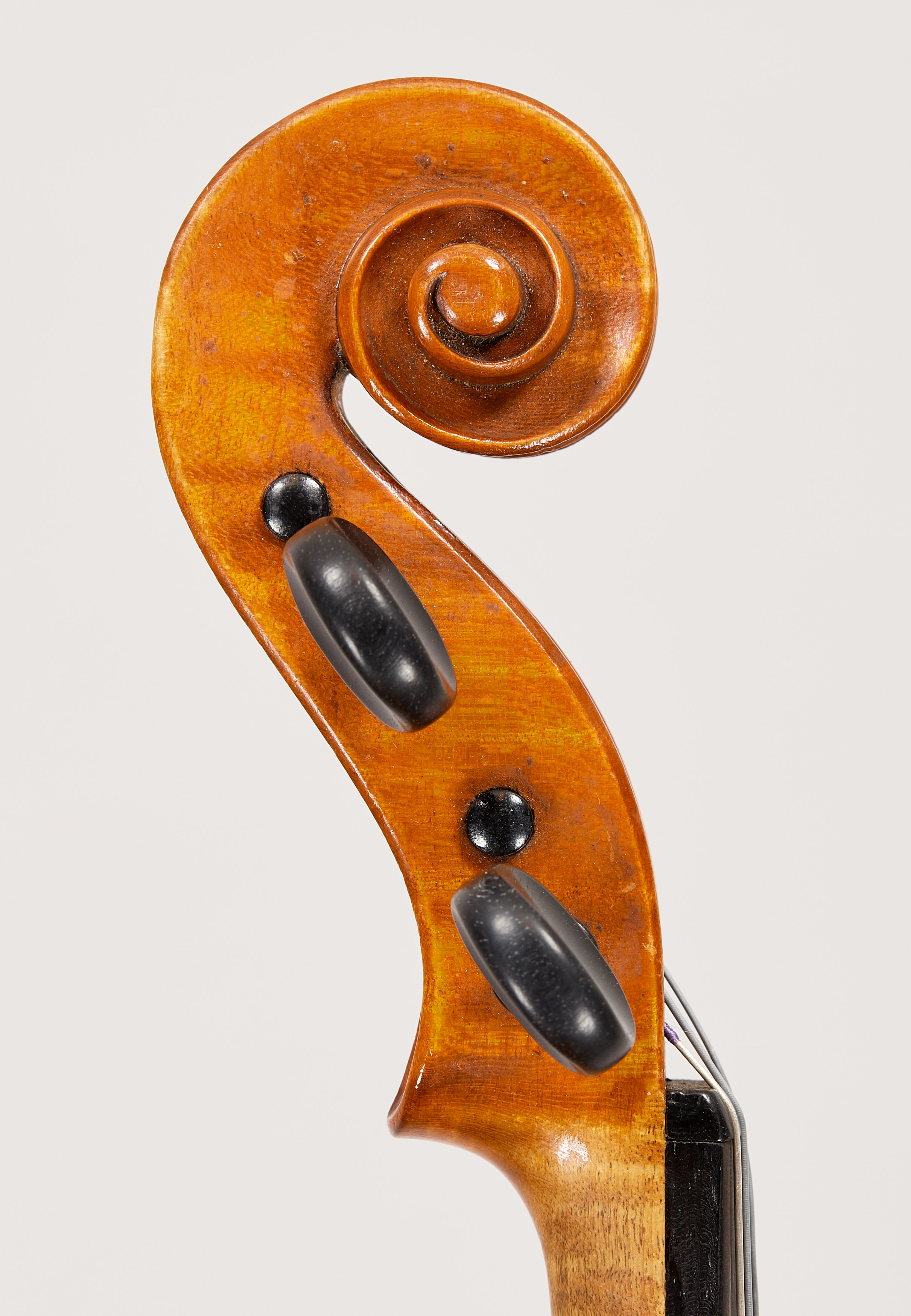 Knorr, Albert, Markneukirchen Artes Fine Violins